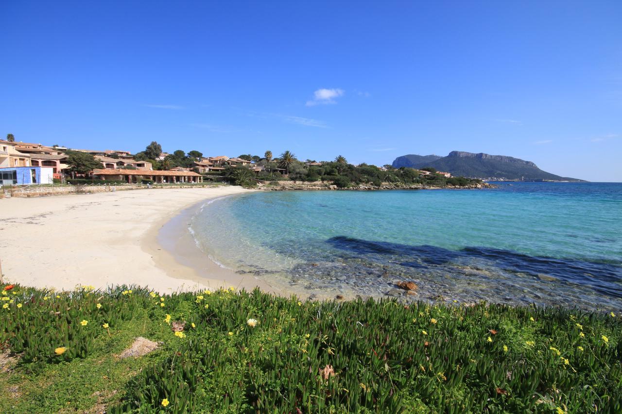 S'Abba Seafront Apartments - Your House In Sardinia Golfo Aranci Exterior foto